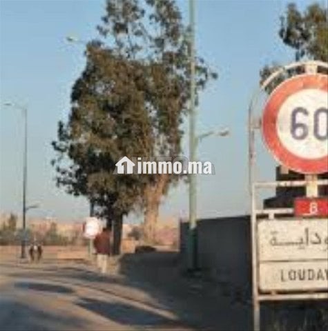 ارض فلاحية بمراكش طريق شيشاوة - Vente Immobilier - Marrakech - photo 2