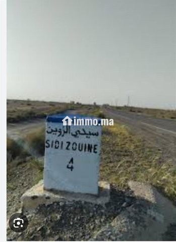 ارض فلاحية بمراكش طريق شيشاوة - Vente Immobilier - Marrakech - photo 3