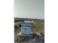 ard-flahy-bmraksh-tryk-shyshao-small-2