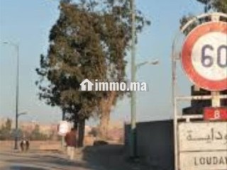 ارض فلاحية بمراكش طريق شيشاوة - Terrain à vendre - Marrakech