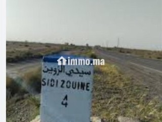 ارض فلاحية بمراكش طريق شيشاوة - Terrain à vendre - Marrakech