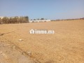 terrain-autorise-station-service-a-ain-atig-small-2