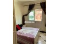 shk-mghz-llkraaa-alyomy-bmdyn-algdyd-small-6