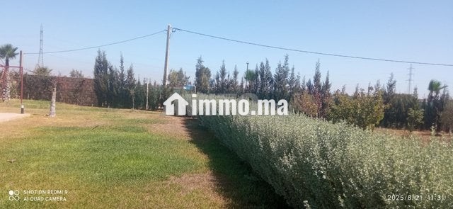 فيرما رفيعة - Vente Immobilier - Berrechid - photo 6