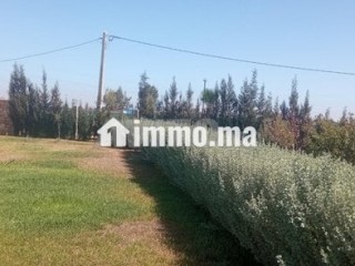فيرما رفيعة - Terrain à vendre - Berrechid