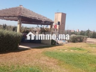 فيرما رفيعة - Terrain à vendre - Berrechid