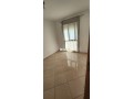 shk-llkraaa-dh-tng-albaly-small-1