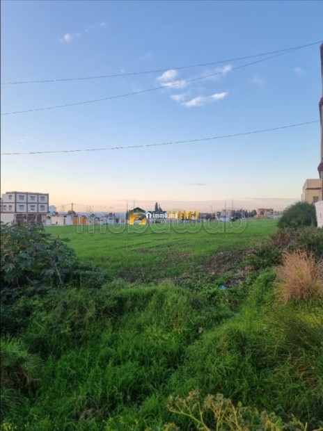 Maison avec 8 appartements et jardin de 1101m2 A. V - Vente Immobilier - Autre - photo 6