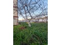 maison-avec-8-appartements-et-jardin-de-1101m2-a-v-small-6