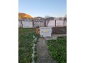 maison-avec-8-appartements-et-jardin-de-1101m2-a-v-small-8