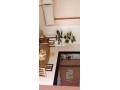 appartement-au-centre-dagadir-small-2