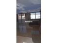 studio-loft-ensoleilleterrasse10mn-tram-ghandi-small-4