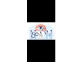 terrain-villa-r1-almaz-small-0