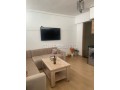 bel-appartement-a-bourgogne-meuble-125m2-small-1