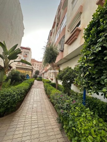 appartement-de-vacances-a-louer-a-hay-al-farah-1-piece-places-de-stationnement-et-jardin-big-11