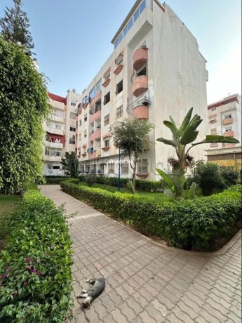 appartement-de-vacances-a-louer-a-hay-al-farah-1-piece-places-de-stationnement-et-jardin-big-13