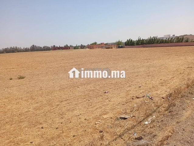 Terrain Agricole Station-Service à Aïn Atiq - Vente Immobilier - Temara - photo 1