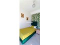 appartement-pres-de-chu-small-3