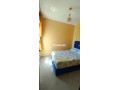 appartement-pres-de-chu-small-6