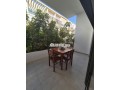a-louer-appartement-rdc-meuble-el-menzeh-small-0