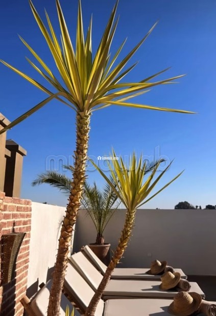 Titre: Exceptionnel Riad de Luxe à la Kasbah 8 Chambres Vue Koutoubia Investissement Touristique - Vente Immobilier - Marrakech - photo 2