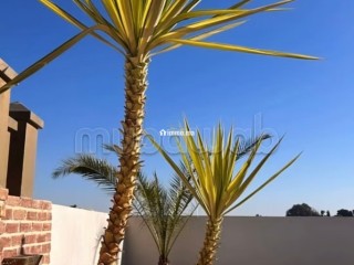 Titre: Exceptionnel Riad de Luxe à la Kasbah 8 Chambres Vue Koutoubia Investissement Touristique - Villa à vendre - Marrakech
