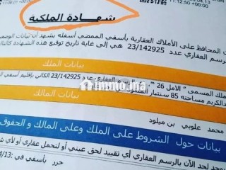 البقعة محفظة للبيع بالقرب من شنكيت باسفي - Terrain à vendre - Safi