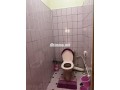shk-llkraaa-alyomy-small-2