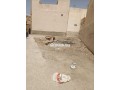 bkaa-ardy-llbyaa-small-3