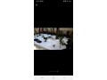 bureaux-a-louer-a-lissasfa-en-face-ald-automotive-small-1