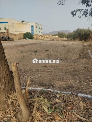 فرصة ذهبية ارض للبيع في ميضار - Vente Immobilier - Midar - photo 3