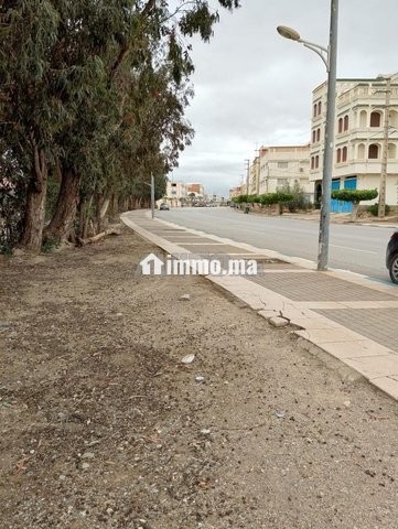 فرصة ذهبية ارض للبيع في ميضار - Vente Immobilier - Midar - photo 4