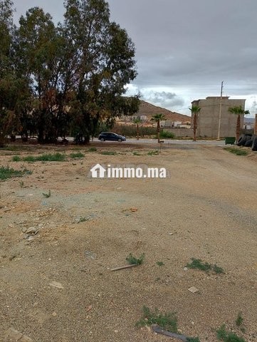 فرصة ذهبية ارض للبيع في ميضار - Vente Immobilier - Midar - photo 5