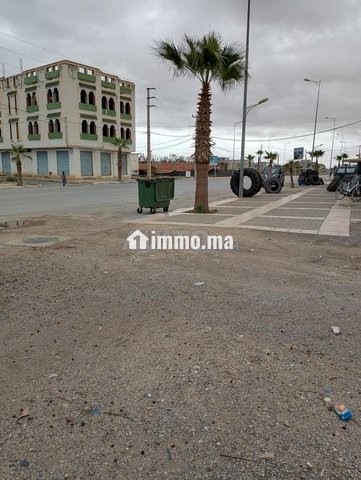فرصة ذهبية ارض للبيع في ميضار - Vente Immobilier - Midar - photo 6