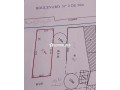 frs-thhby-ard-llbyaa-fy-mydar-small-0