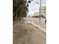 frs-thhby-ard-llbyaa-fy-mydar-small-3