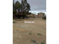 frs-thhby-ard-llbyaa-fy-mydar-small-4