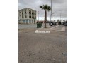 frs-thhby-ard-llbyaa-fy-mydar-small-5