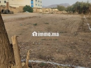 فرصة ذهبية ارض للبيع في ميضار - Terrain à vendre - Midar