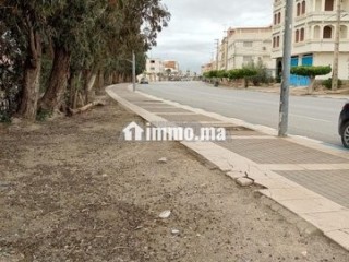 فرصة ذهبية ارض للبيع في ميضار - Terrain à vendre - Midar