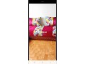 appt-meuble-wifi-rabat-small-2