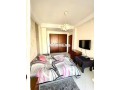 appartement-meuble-bourgogne-small-3