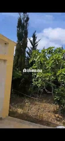 Maison we ghersa diala 2h a asilah tanger - Location Immobilier - Asilah - photo 1