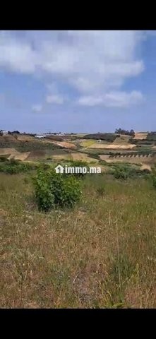 Maison we ghersa diala 2h a asilah tanger - Location Immobilier - Asilah - photo 2
