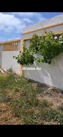 Maison we ghersa diala 2h a asilah tanger - Location Immobilier - Asilah - photo 4