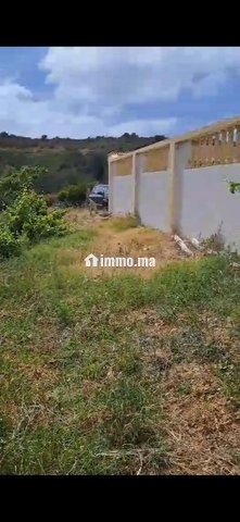 Maison we ghersa diala 2h a asilah tanger - Location Immobilier - Asilah - photo 6