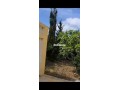 maison-we-ghersa-diala-2h-a-asilah-tanger-small-0