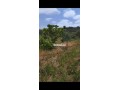 maison-we-ghersa-diala-2h-a-asilah-tanger-small-2