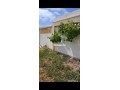 maison-we-ghersa-diala-2h-a-asilah-tanger-small-3