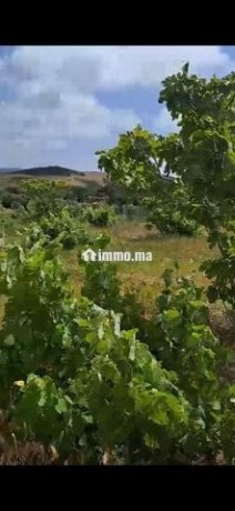maison-we-ghersa-diala-2h-a-asilah-tanger-big-4